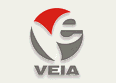 Hiệp hội doanh nghiệp điện tử Việt Nam